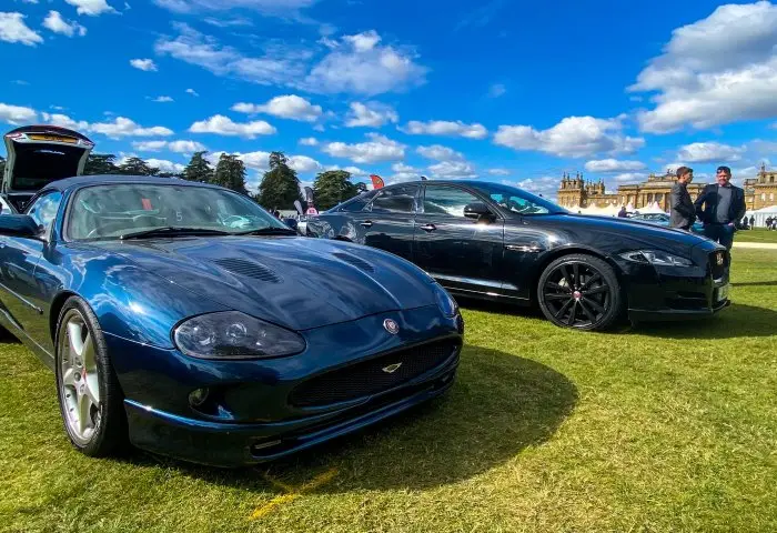 IMG_8874-min_5602f7e5b36fba54d042375762a16a2e