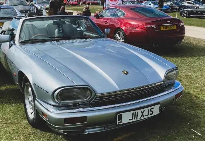 IMG_8879-min_5602f7e5b36fba54d042375762a16a2e