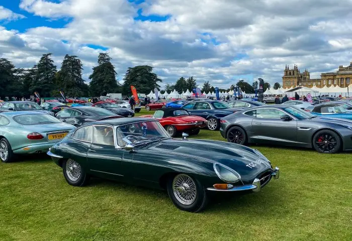 IMG_8885-min_5602f7e5b36fba54d042375762a16a2e