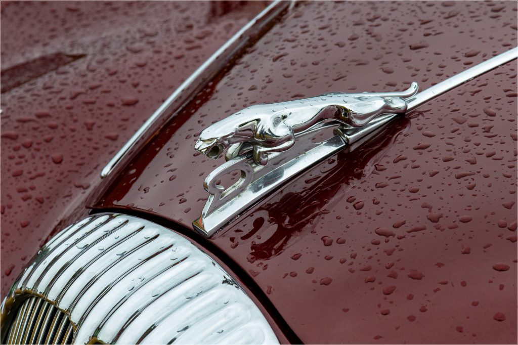 Jaguar Daimler bonnet mascot